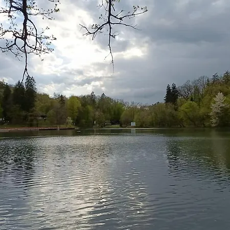 Homestay Camera 1 - Pensiunea Panorama Sovata